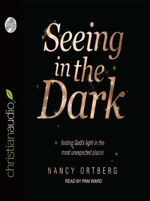 cover image of Seeing in the Dark